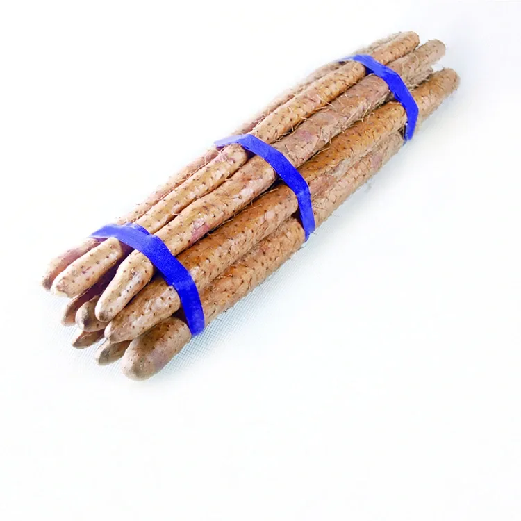 ትኩስ የቻይና Yam