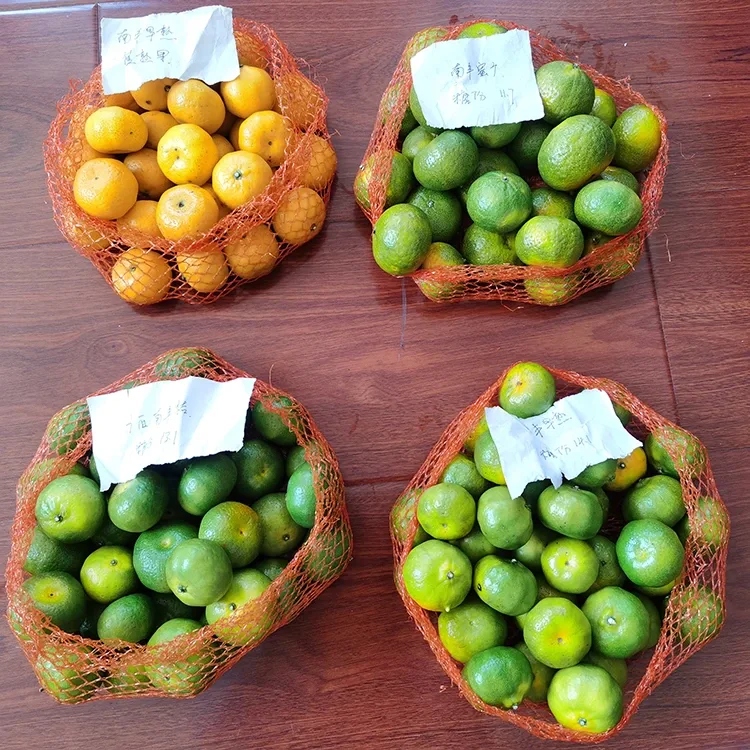 ትኩስ ማር ማንዳሪን