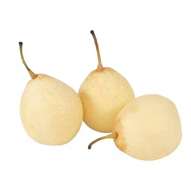 አዲስ የተሰበሰበ Ya Pear