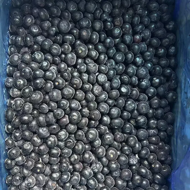 የቀዘቀዘ ብሉቤሪ ፕሪሚየም IQF ብሉቤሪ