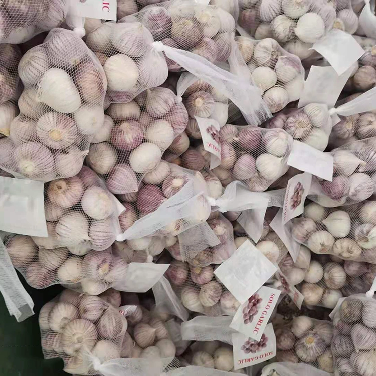 ባለከፍተኛ ጥራት ነጠላ ቅርንፉድ ነጭ ሽንኩርት