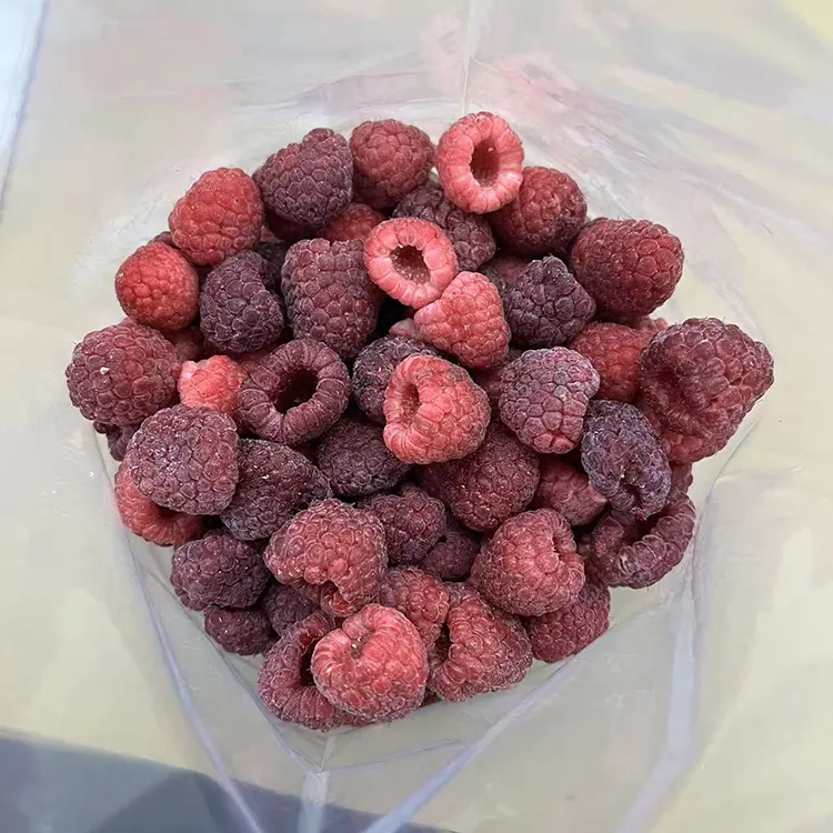 ፕሪሚየም IQF ሙሉ የቀዘቀዘ ቀይ Raspberry