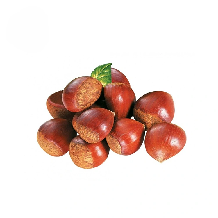 ፕሪሚየም ጥራት ያለው Chestnuts