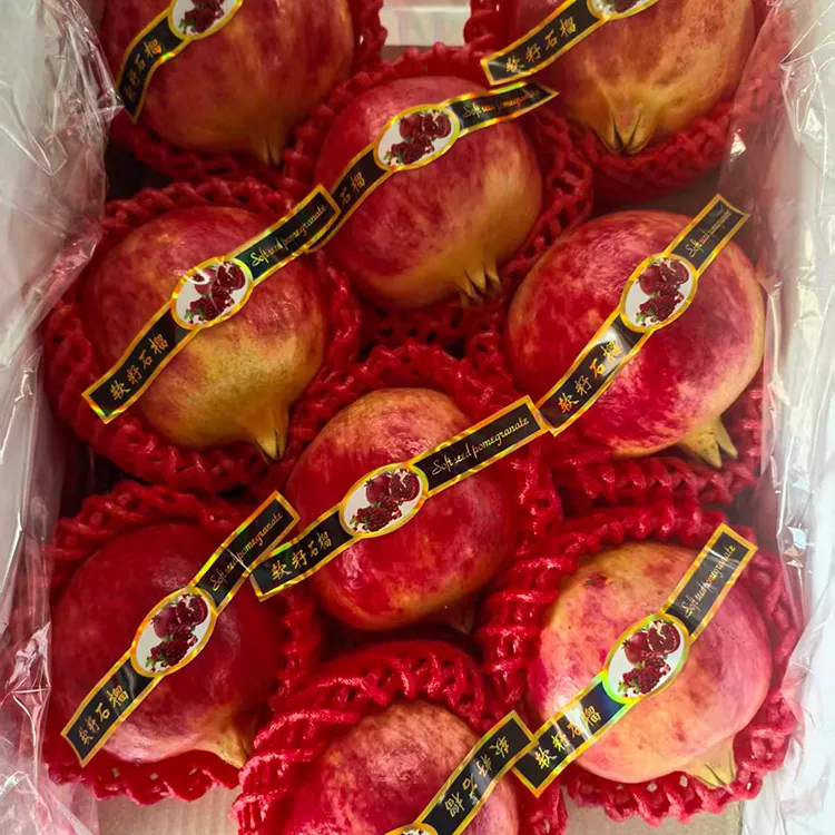 ፕሪሚየም የቱኒዚያ ለስላሳ ዘር ያላቸው ሮማኖች
